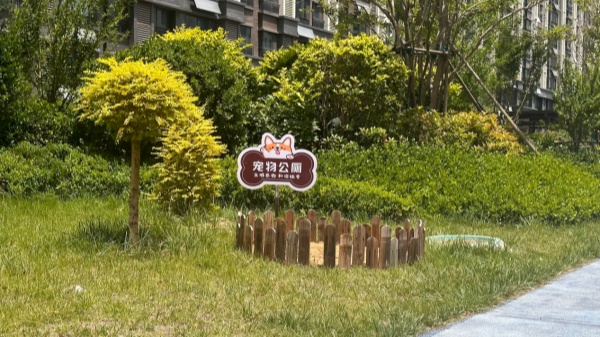 26.6.10 图片1_副本.jpg 26.6.10 图片1_副本.jpg